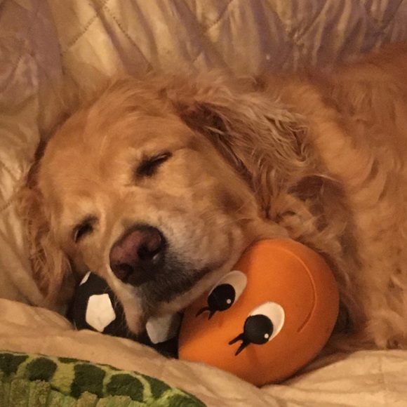 Meet your Posher, Helene - Picture 1 of 6